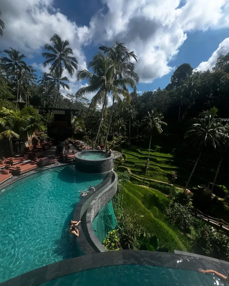 Tegallalang Rice Terrace view 4