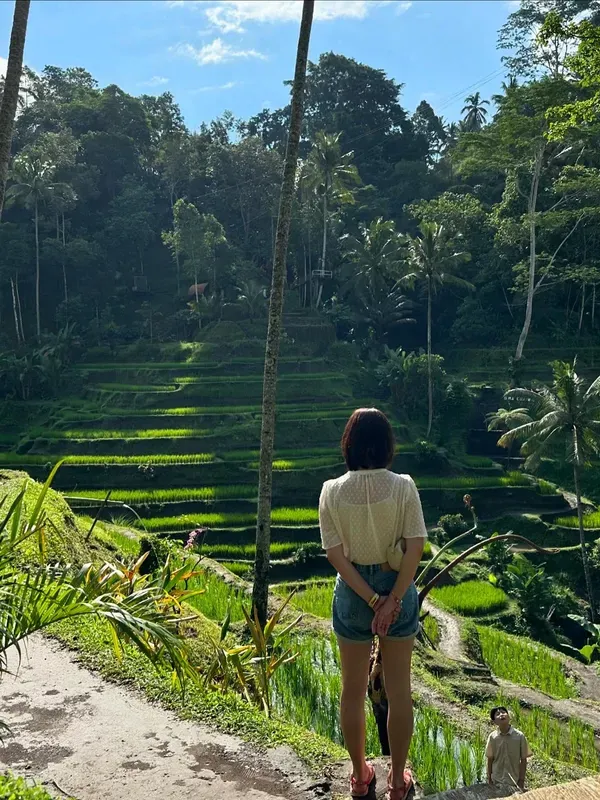 Tegallalang Rice Terrace visitor photo 4